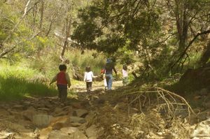 Living in covid exile.